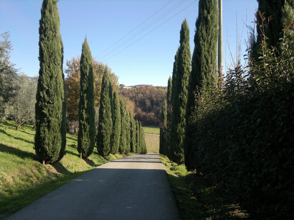 Il Casolare Di Leonardo Vinci Exterior foto